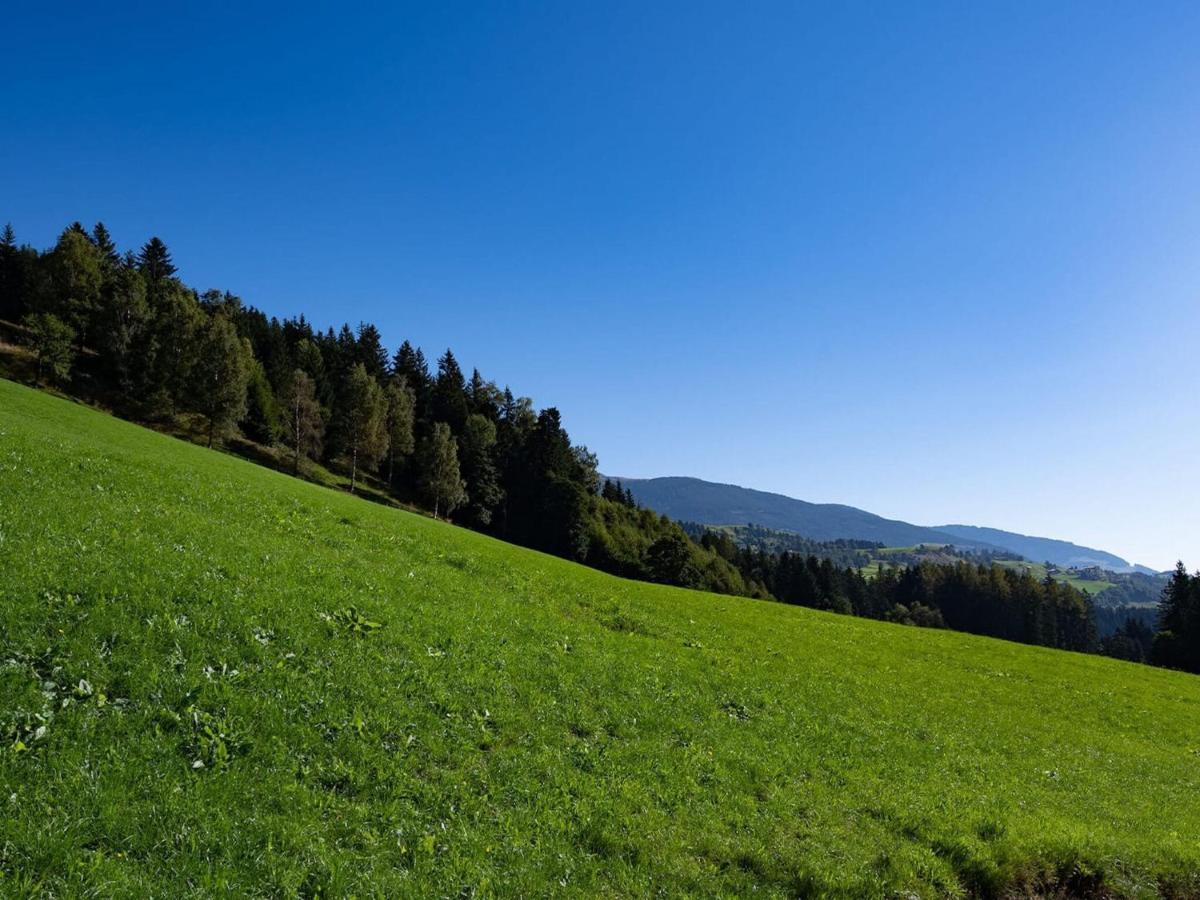Flat With National Park Card Included Bramberg am Wildkogel
